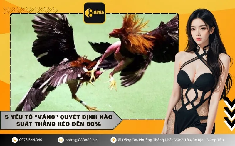 5 Yếu tố vàng quyết định xác suất thắng kèo đến 80%