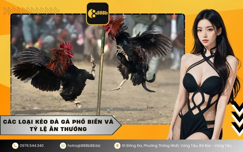 Các loại kèo đá gà phổ biến và tỷ lệ ăn thưởng