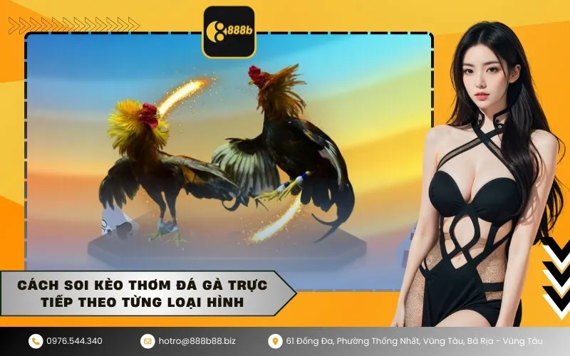 Cách soi kèo thơm đá gà trực tiếp theo từng loại hình