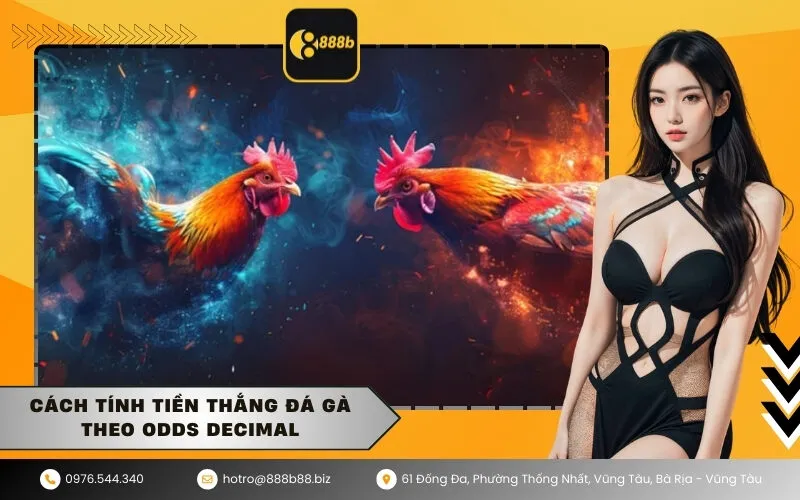 Cách tính tiền thắng đá gà theo Odds Decimal