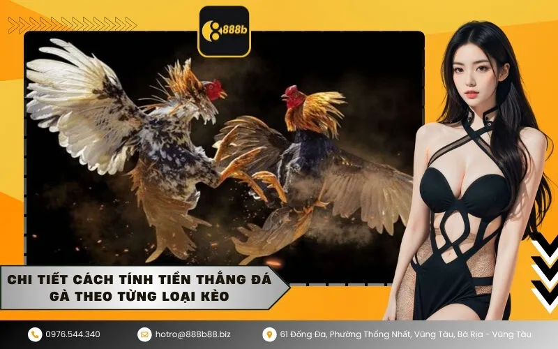 Chi tiết cách tính tiền thắng đá gà theo từng loại kèo