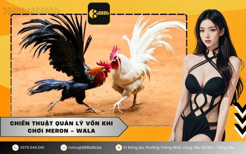 Chiến thuật quản lý vốn khi chơi Meron - Wala