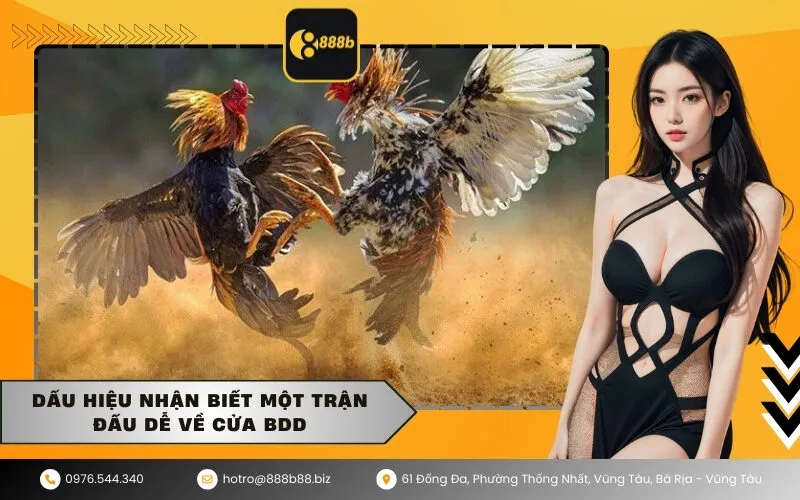 Dấu hiệu nhận biết một trận đấu dễ về cửa BDD