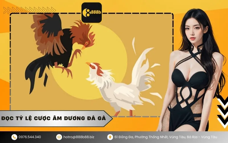 Đọc Tỷ Lệ Cược Âm Dương Đá Gà