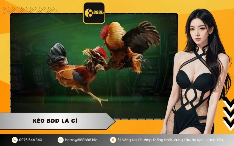 Kèo BDD Là Gì