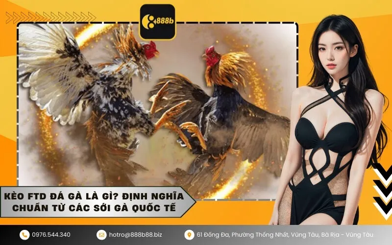Kèo FTD đá gà là gì Định nghĩa chuẩn từ các sới gà quốc tế