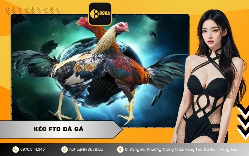 Kèo FTD Đá Gà