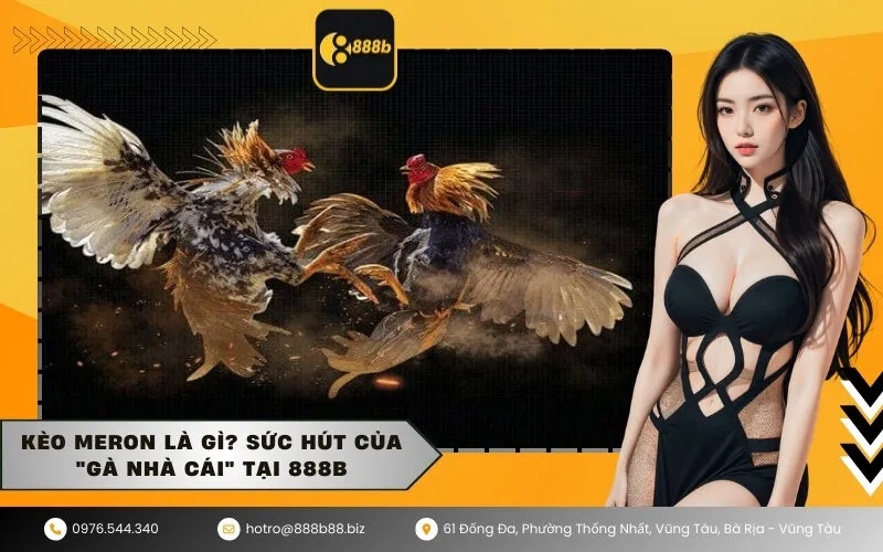 Kèo Meron là gì Sức hút của gà nhà cái tại 888b