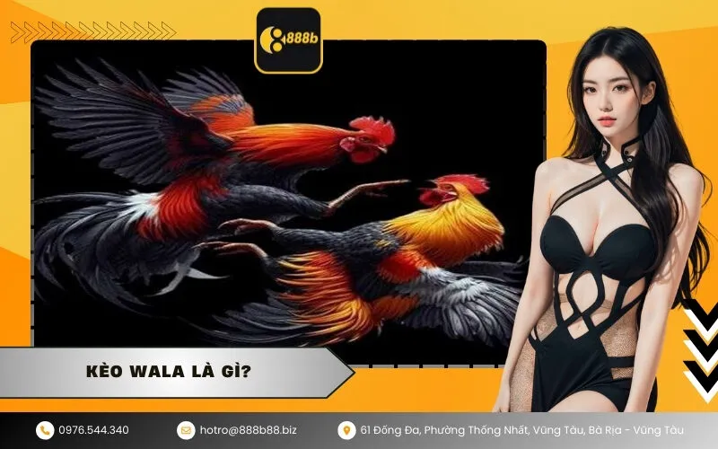 Kèo Wala Là Gì
