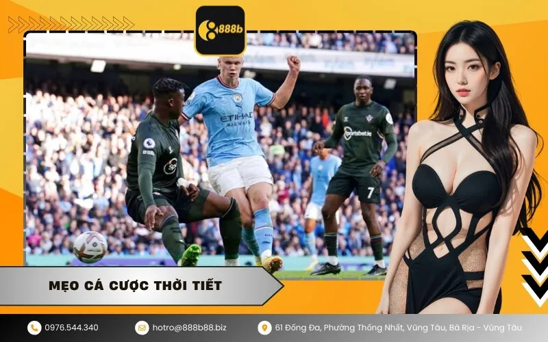 Mẹo Cá Cược Thời Tiết