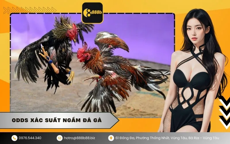 Odds Xác Suất Ngầm Đá Gà