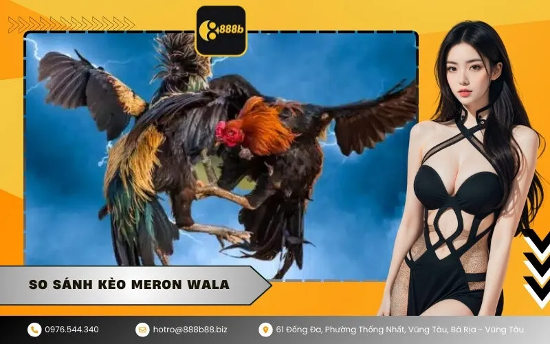 So sánh kèo Meron Wala