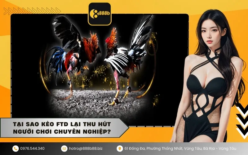 Tại sao kèo FTD lại thu hút người chơi chuyên nghiệp