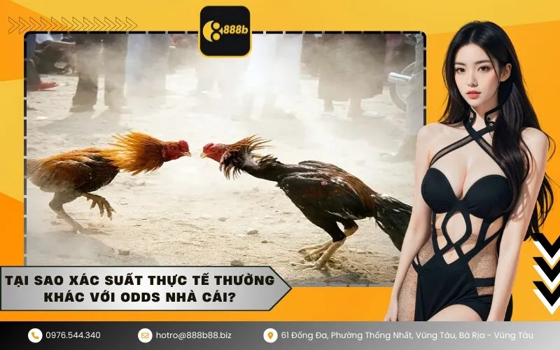 Tại Sao Xác Suất Thực Tế Thường Khác Với Odds Nhà Cái