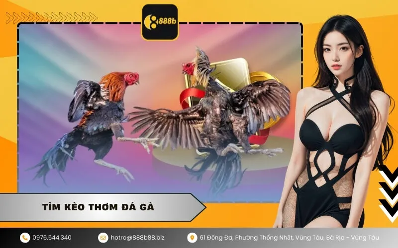 Tìm Kèo Thơm Đá Gà