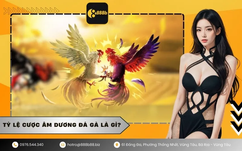 Tỷ lệ cược âm dương đá gà là gì