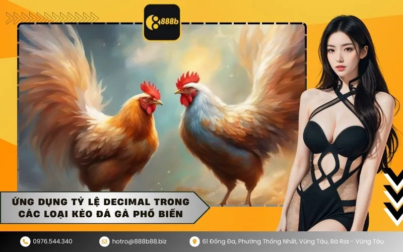 Ứng dụng tỷ lệ Decimal trong các loại kèo đá gà phổ biến
